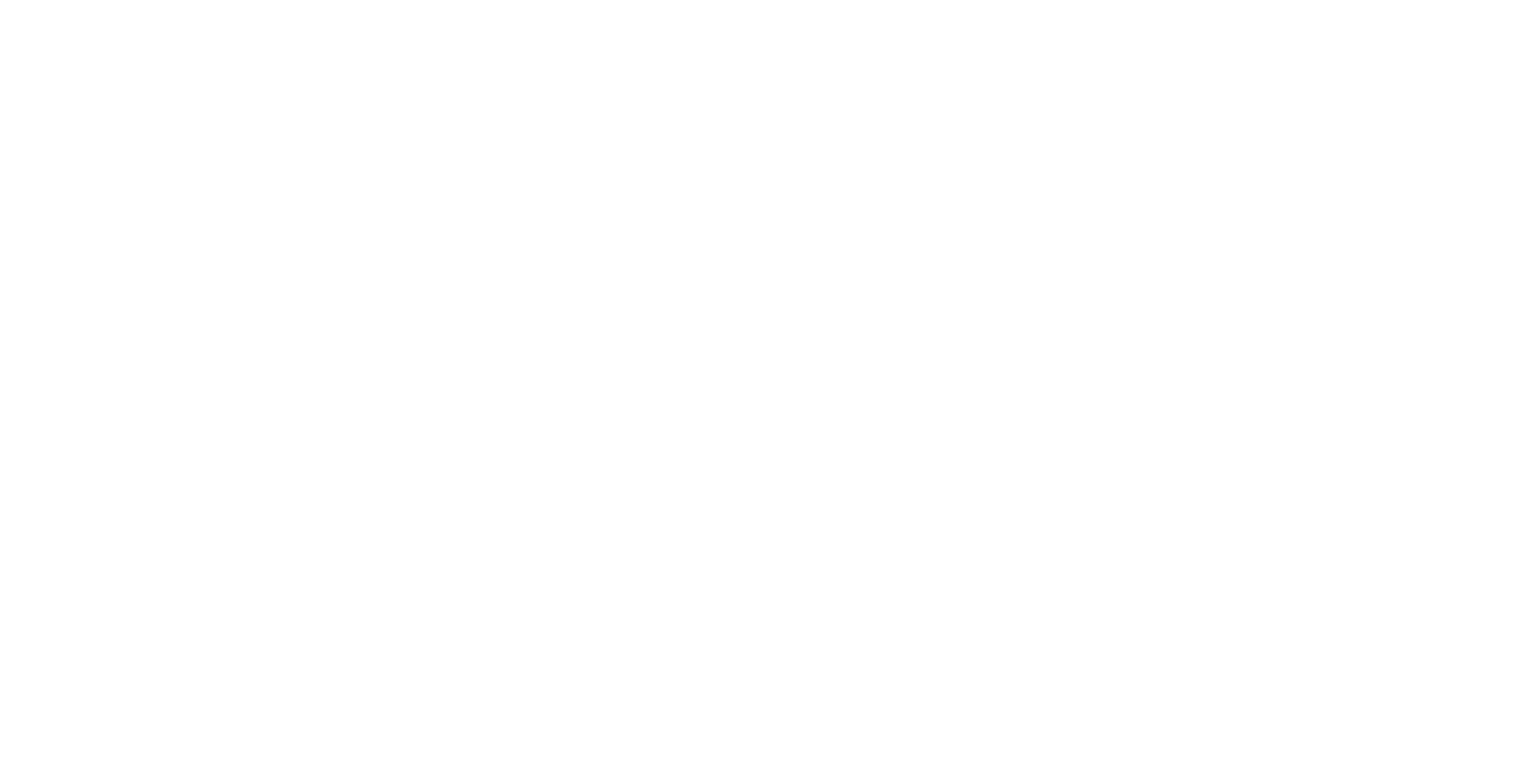 AmmannHoch2 Consulting_weiß